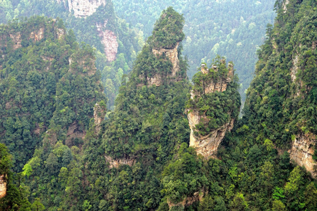 张家界旅游攻略自由行三天 - 佛掌峰