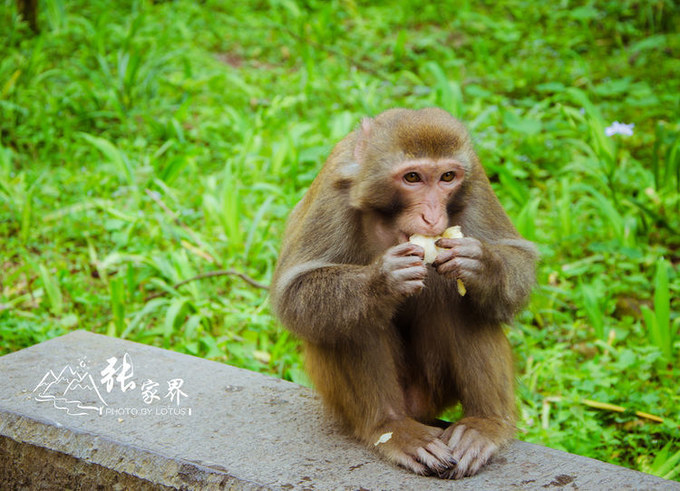 说说这次旅行图片