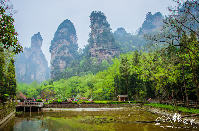 说说这次旅行图片