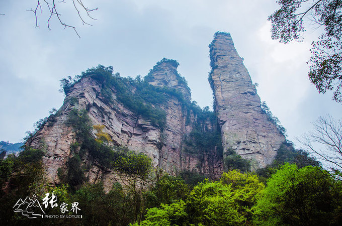 说说这次旅行图片