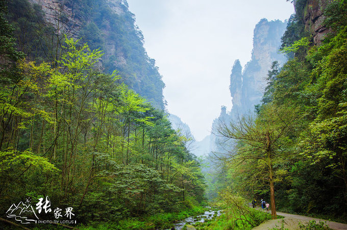 说说这次旅行图片