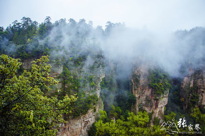 说说这次旅行图片