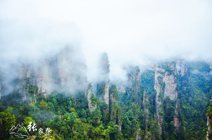 说说这次旅行图片