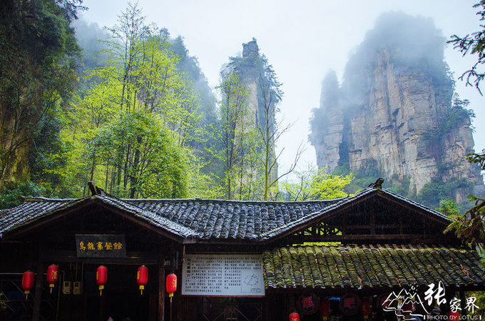 说说这次旅行图片