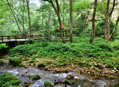 2015春节去张家界感受亚洲最受欢迎的美丽风景（附攻略）