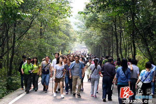 张家界旅游官网-新闻动态-武陵源区着力打造文明... 