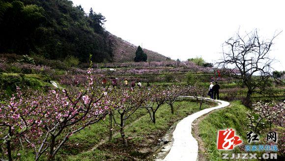 张家界旅游官网-新闻动态-张家界：世外桃源--... 