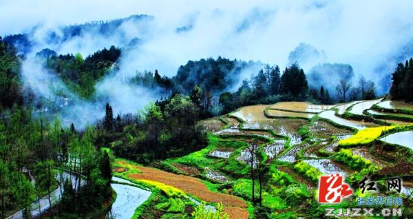 武陵源核心景区“悬浮山”奇观醉人（组图）