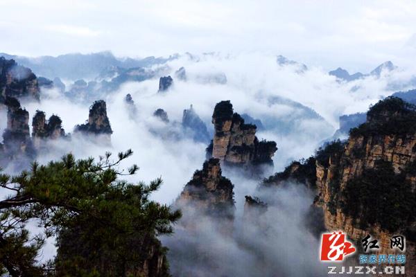 张家界旅游官网-新闻动态-武陵源核心景区“悬浮... 