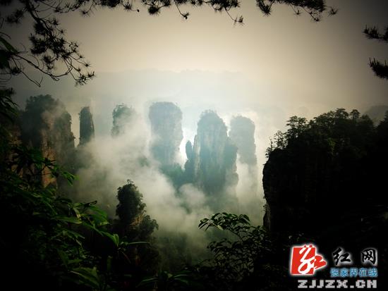 张家界旅游攻略 - 清明小长假迎降雨 武陵源景区迎客逾16万人次