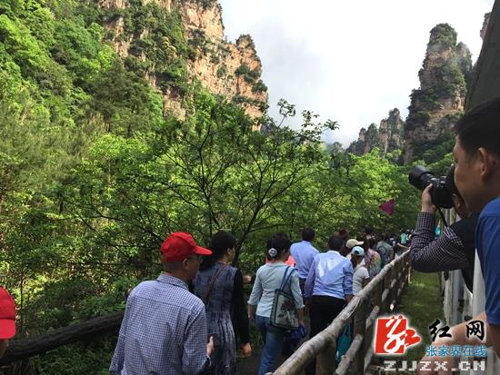 张家界旅游要多少钱 - 【点赞·五一】武陵源核心景区一次性进山游客超5.5万人