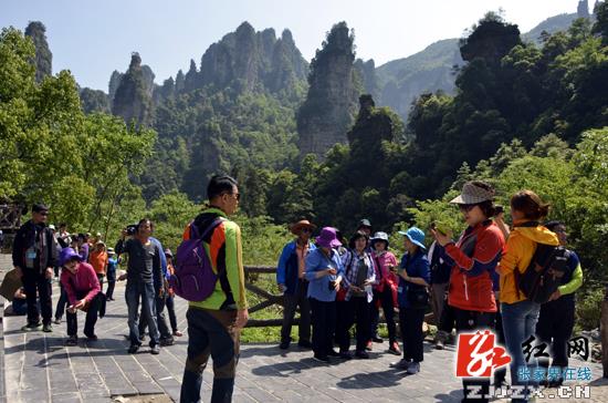 湖南张家界旅游景点 - 武陵源核心景区今年接待韩国客8.3万余人