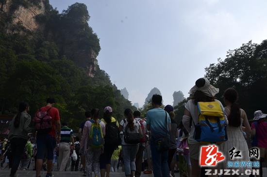 张家界自驾游旅游攻略 - 暑期近尾声 张家界核心景区武陵源旅游持续“飘红”