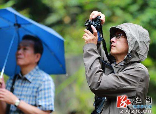 张家界宝峰湖：秋雨送来“清凉游”