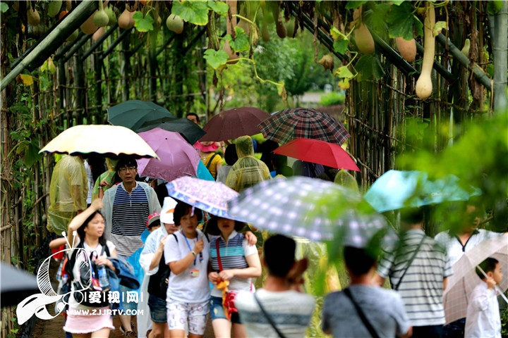 张家界旅游攻略自由行三天 - 张家界黄龙洞景区旅游创收再破亿元 同比增长13.5%