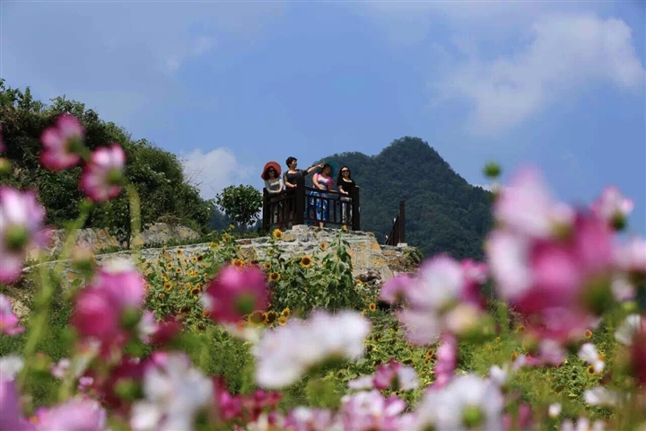 湖南张家界旅游景点 - 张家界全域旅游多点开花 景区、城区、乡村齐头并进