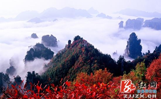 张家界旅游门票 - 千名摄影师聚焦森保节采风活动将于10月18日至20日在武陵源举行