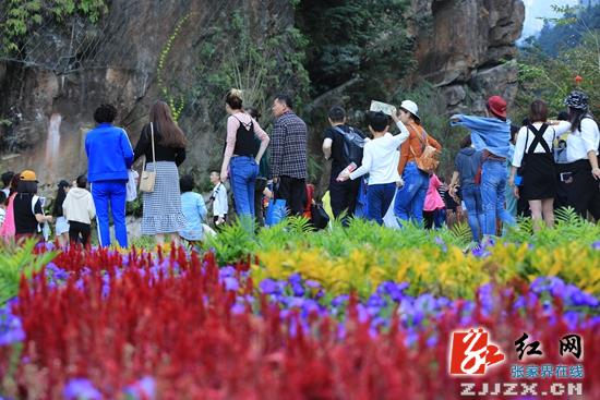 张家界旅游要多少钱 - 【黄金周时刻】张家界宝峰湖景区前三日纳客近1.4万人 提质升级显成效