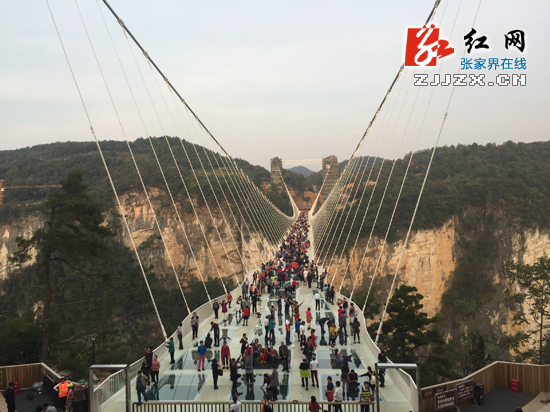 张家界旅游攻略 - 张家界大峡谷被评选为2016最受微博用户关注景区