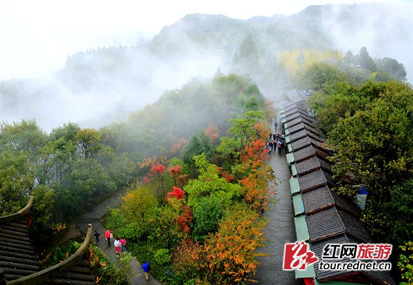 张家界旅游攻略自由行三天 - 张家界武陵源进入彩叶观赏期 深秋云海如仙境