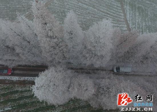 武陵源冰挂雾凇美如画 天子山索道24日恢复营运