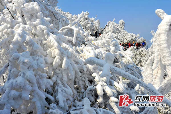 张家界自助游 - 天门山开启冬季山顶游模式 游客上山注意交通方式