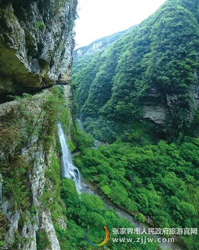 张家界旅游 - 极限体验，是大峡谷的未来——访张家界大峡谷旅游景区管理有限公司董事长陈志冬