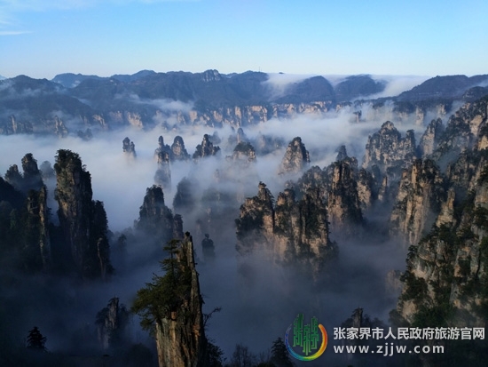 张家界旅游报价 - 太美！张家界武陵源景区现云海景观（图）