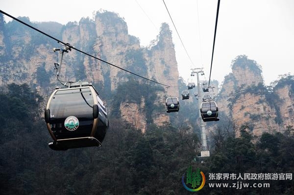 湖南张家界旅游景点 - 张家界天子山“土豪金”索道一年运客180万人