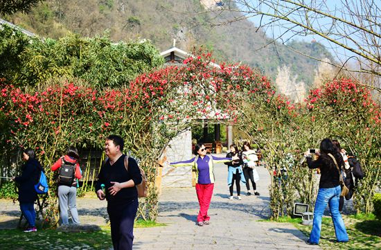 黄龙洞景区生态广场：春光无限醉游人