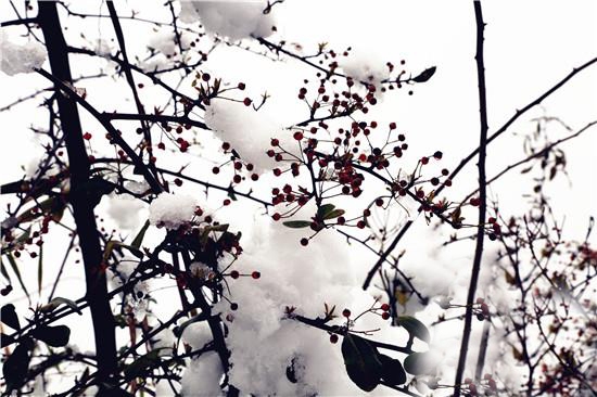 张家界自助游 - 桑植：阳春白雪 别样西界