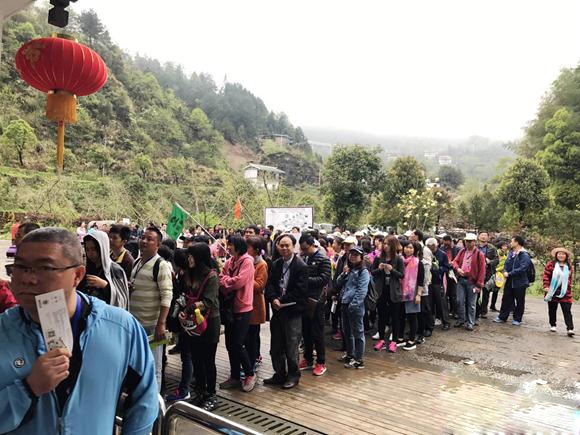 张家界旅游旺季 - 张家界老道湾度假景区春雨迷蒙 游人兴致不减雨中赏景