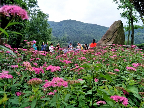 张家界黄龙洞： 缤纷春色“韵”夏日