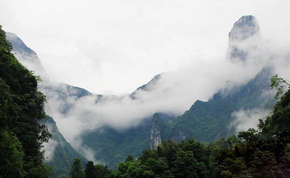 张家界旅游路线 - 夏雨过后游客喜赏老道湾度假景区云海景观