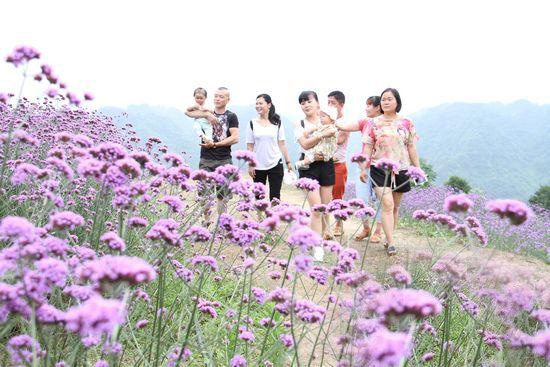 湖南张家界旅游 - 张家界市永定区乡村旅游火爆