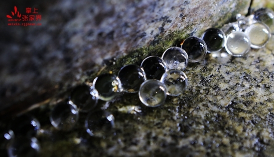 新鲜事！黄龙洞景区地上惊现亿万“水晶珠”