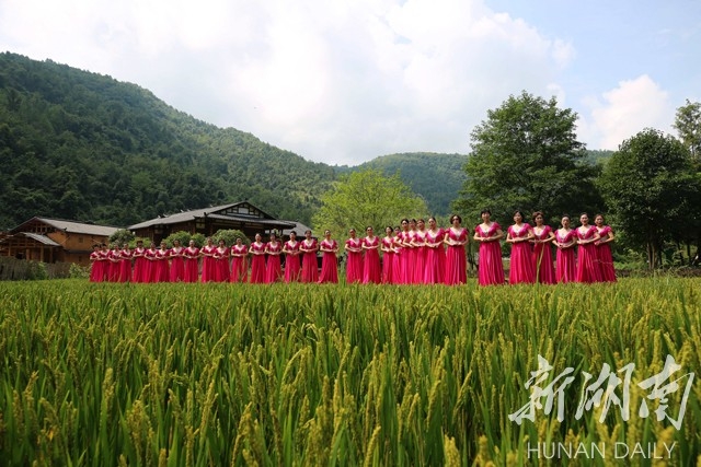 张家界旅游门票 - 湖南张家界：诗意山水 田园放歌