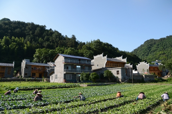 湖南张家界旅游景点 - 武陵源：发挥核心引领作用 推进全域旅游发展