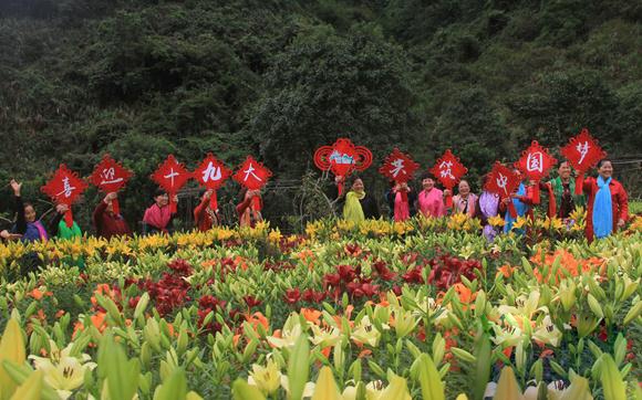 游客畅游老道湾景区百合花海