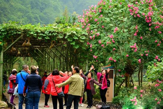 湖南张家界旅游景点 - 张家界黄龙洞景区：秋色无边醉游人