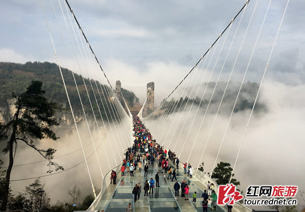 张家界旅游门票 - 张家界大峡谷玻璃桥工程获国家优质工程奖