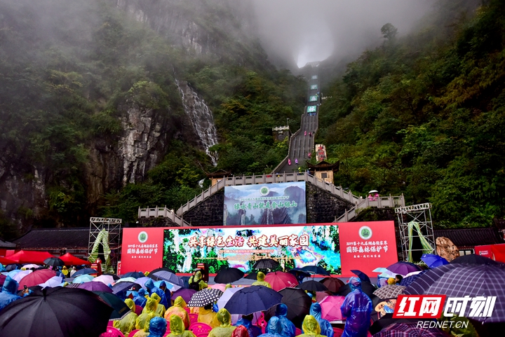 张家界门票 - 2019湖南张家界国际森保节启幕 巨幅绿色画卷“惊”世界