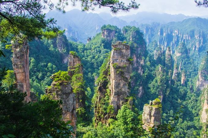 张家界旅游路线 - 金鑫：新模式 新思路 再筑张家界旅游产业发展新高地