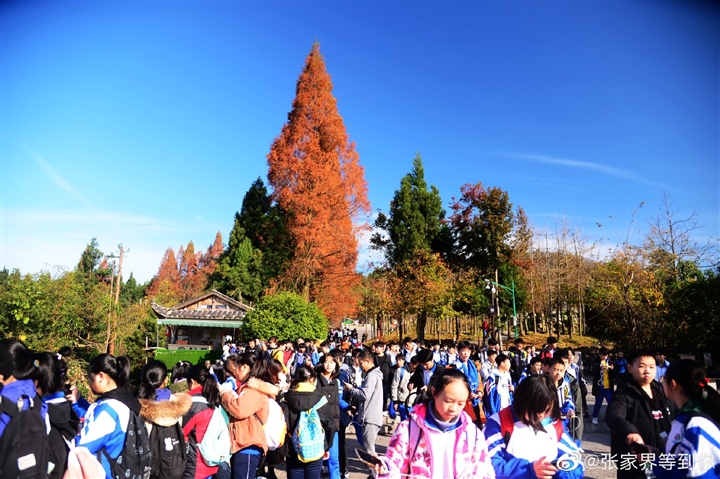 湖南张家界旅游景点 - 武陵源天子山层林尽染  美景如画