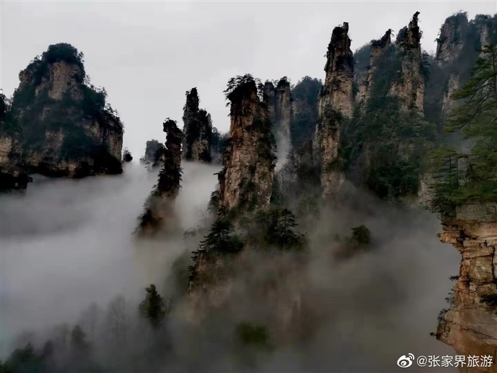 张家界旅游 - 武陵源区：雾里寻觅天子山 醉美仙境张家界