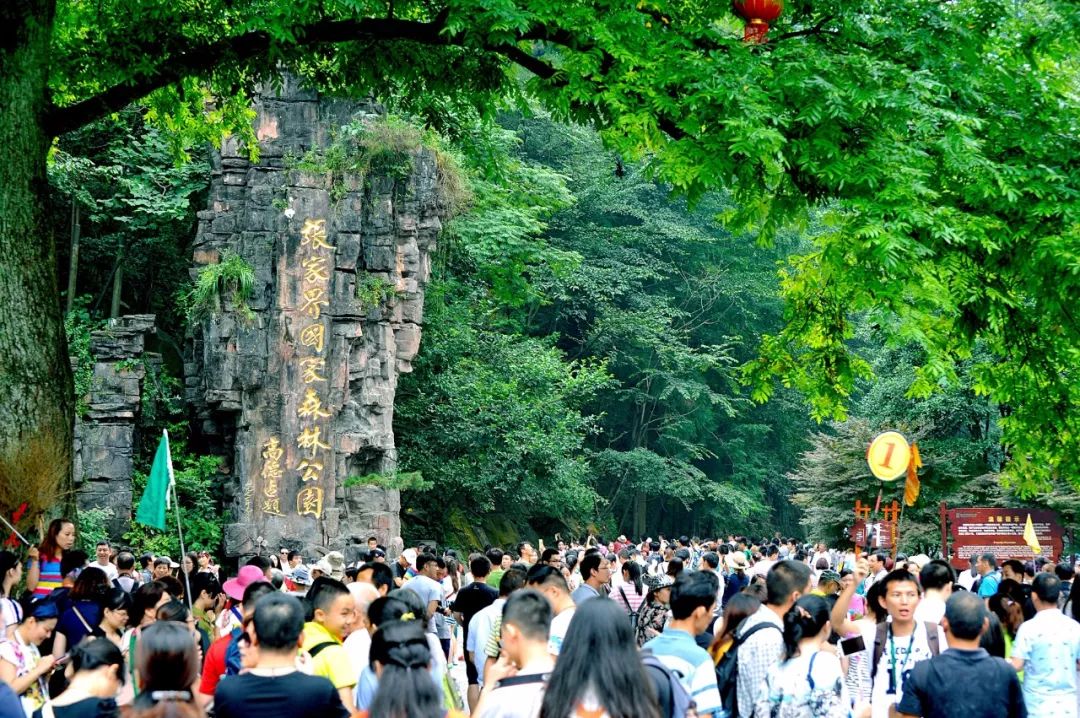 张家界旅游攻略三日游 - 张家界市武陵源景区今日起对外开放