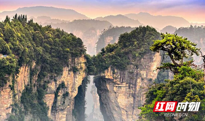 湖南张家界旅游景点 - 【每日一景】“网游张家界”| 明明是座山，却被叫做“天下第一桥”