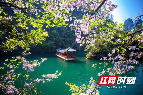 张家界三日游 - 春暖花开日，宝峰湖邀您来参加登山比赛