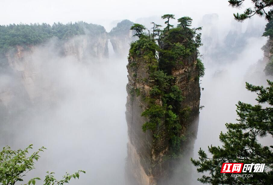 张家界四日游 - 【每日一景】“网游张家界”｜打卡！好莱坞科幻大片中的网红