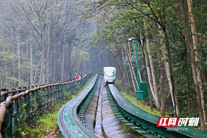 湖南张家界旅游景点 - 张家界十里画廊：开往春天的列车